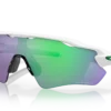 Prizm Jade Lenses Polished White Frame